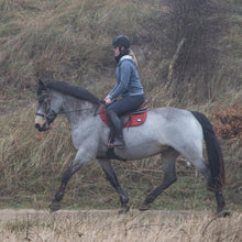 Load image into Gallery viewer, Vic sidepull brown