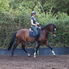 Load image into Gallery viewer, Cody hackamore black + brown