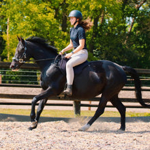 Load image into Gallery viewer, Miranti hackamore bridle