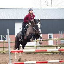 Load image into Gallery viewer, Cody hackamore black + brown