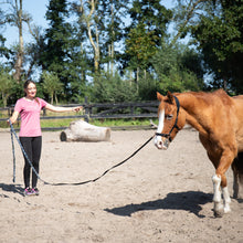 Load image into Gallery viewer, Zyara multi cavesson bridle rosegold black used for groundwork with a pony in a sunny arena.
