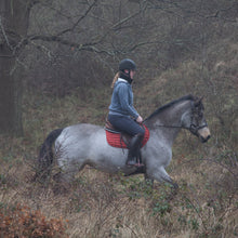 Load image into Gallery viewer, Vic sidepull brown