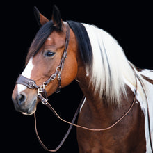 Load image into Gallery viewer, Guusje hackamore bridle