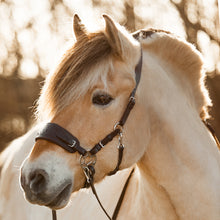 Afbeelding in Gallery-weergave laden, Jack western hackamore