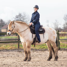 Load image into Gallery viewer, Bram one ear hackamore