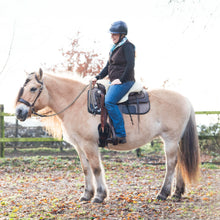 Load image into Gallery viewer, Bram one ear hackamore