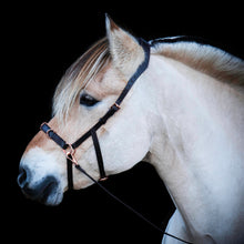Load image into Gallery viewer, Zyara multi cavesson bridle rosegold black + brown on a horse with black background, perfect for riding and groundwork.