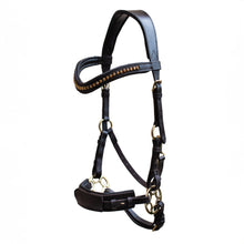 Load image into Gallery viewer, Padar hackamore gold black + brown