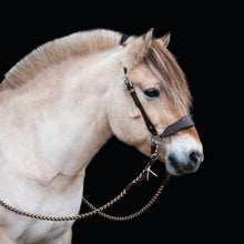 Load image into Gallery viewer, Bram one ear hackamore