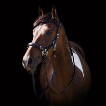Load image into Gallery viewer, Calli hackamore bridle black + brown