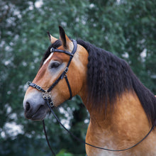 Load image into Gallery viewer, Caval cavemore bridle black + brown