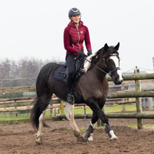 Load image into Gallery viewer, Cody hackamore black + brown