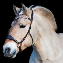 Load image into Gallery viewer, Daphne hackamore black + brown