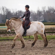 Afbeelding in Gallery-weergave laden, Dardo Basic Barebackpad Bruin