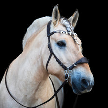 Load image into Gallery viewer, Diego hackamore black + brown