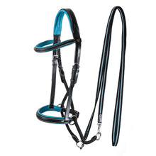 Load image into Gallery viewer, Dietsji cheekcross bridle