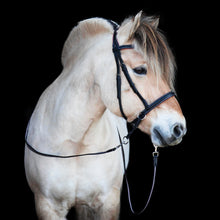 Load image into Gallery viewer, Dietsji cheekcross bridle