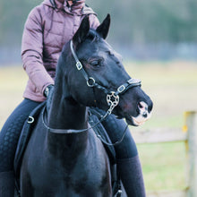 Load image into Gallery viewer, Miranti hackamore bridle