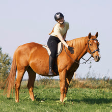 Afbeelding in Gallery-weergave laden, Caval cavemore hoofdstel zwart + brown