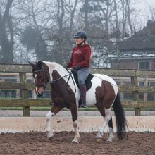 Load image into Gallery viewer, Bisco barebackpad black