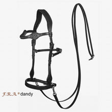 Load image into Gallery viewer, Dandy western sidepull + colors