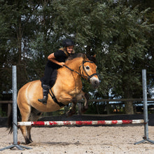 Load image into Gallery viewer, Dardo, barebackpad, bitloos, zonder zadel, bitless, bareback, springen