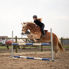 Load image into Gallery viewer, Bisco barebackpad brown