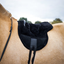 Load image into Gallery viewer, Bisco barebackpad black