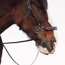 Load image into Gallery viewer, Caval cavemore bridle black + brown
