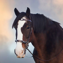 Afbeelding in Gallery-weergave laden, Caval cavemore hoofdstel zwart + brown