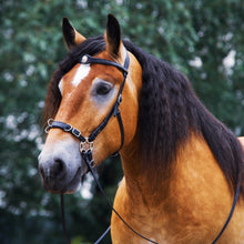 Afbeelding in Gallery-weergave laden, Caval cavemore hoofdstel zwart + brown