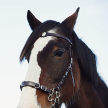 Load image into Gallery viewer, Caval cavemore bridle black + brown