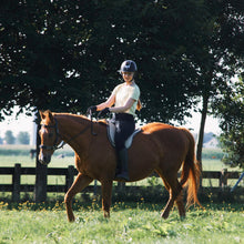 Afbeelding in Gallery-weergave laden, Caval cavemore hoofdstel zwart + brown