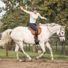 Afbeelding in Gallery-weergave laden, Rebecca sidepull zwart + bruin