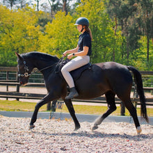 Load image into Gallery viewer, Miranti hackamore bridle