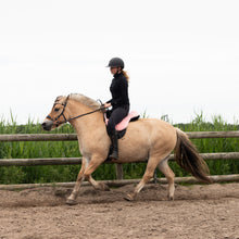 Load image into Gallery viewer, Daphne hackamore black + brown