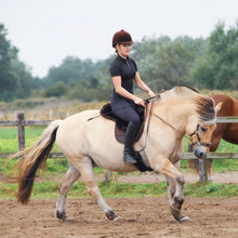 Load image into Gallery viewer, Miranti hackamore bridle