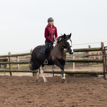 Load image into Gallery viewer, Cody hackamore black + brown