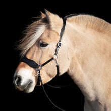 Load image into Gallery viewer, Havana 2.0 western sidepull Black