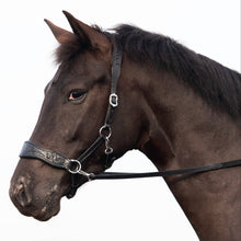 Load image into Gallery viewer, Havana 2.0 western sidepull Black