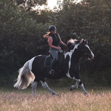 Load image into Gallery viewer, bitless ster hackamore star hackamore anatomical shaped anatomisch hoofdstel bitloos clip teugels goud zwart paard pony cob