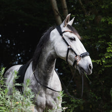 Afbeelding in Gallery-weergave laden, Stylish Rosie hackamore black rosegold on a grey horse with rose gold and pink glitter details.