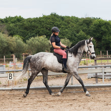 Afbeelding in Gallery-weergave laden, Bitless and bareback dressage riding