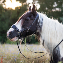 Load image into Gallery viewer, Jack western hackamore