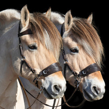 Afbeelding in Gallery-weergave laden, Jack western hackamore