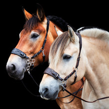 Load image into Gallery viewer, Jack western hackamore dark brown + black