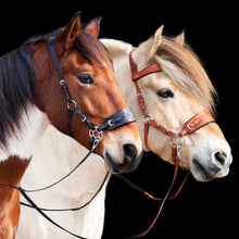 Afbeelding in Gallery-weergave laden, Jack western hackamore