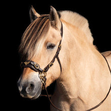 Load image into Gallery viewer, James hackamore gold