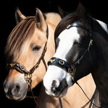 Load image into Gallery viewer, James hackamore gold