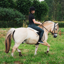 Load image into Gallery viewer, Dietsji cheekcross bridle